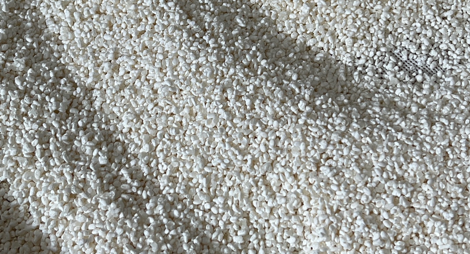 White Koji, black koji : Sake and acidity. Is acidity a new trend in Sake?